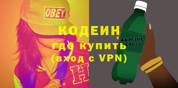 индика Арсеньев