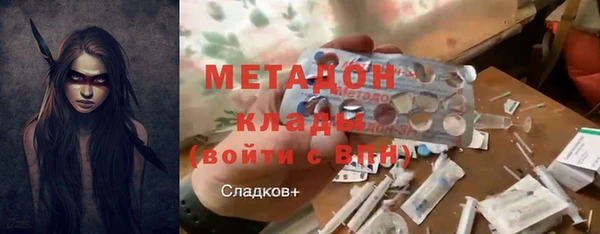 индика Арсеньев