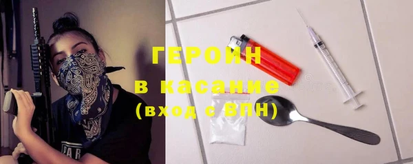 индика Арсеньев