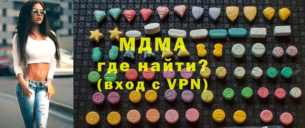 индика Арсеньев