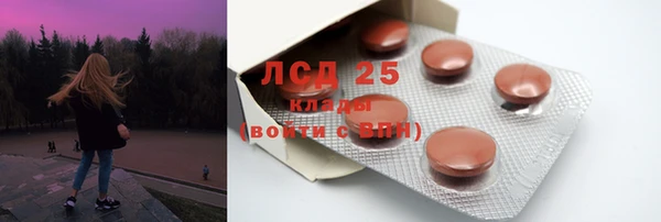 гашик Аркадак