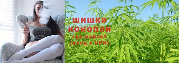 индика Арсеньев