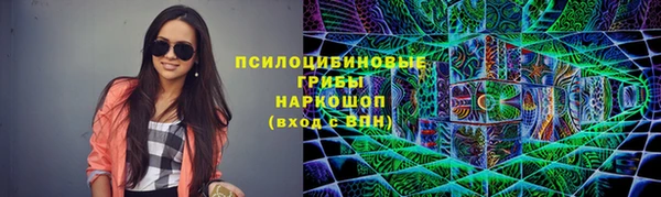 индика Арсеньев