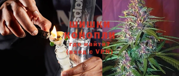 индика Арсеньев