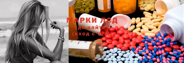 гашик Аркадак