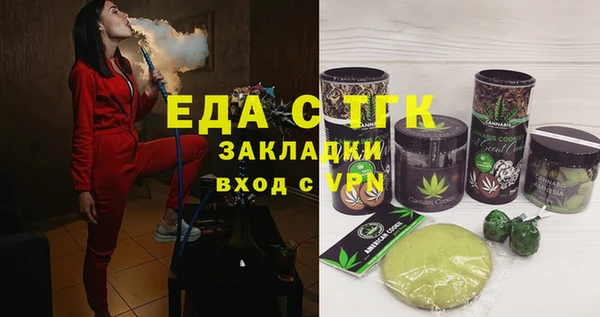 индика Арсеньев