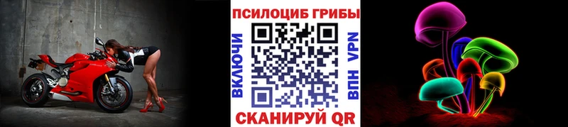 наркотики  Белокуриха  Псилоцибиновые грибы Magic Shrooms 